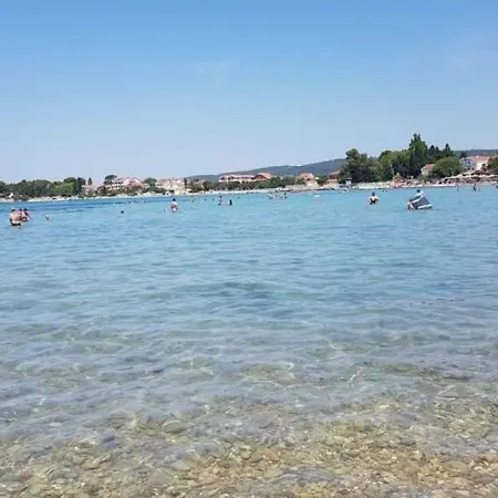 Korina *